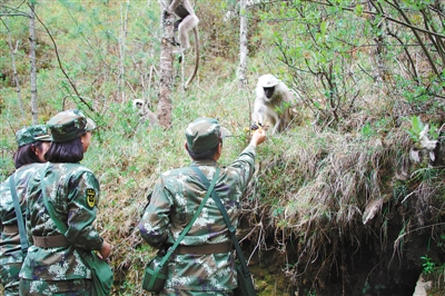 res01_attpic_brief (1).jpg