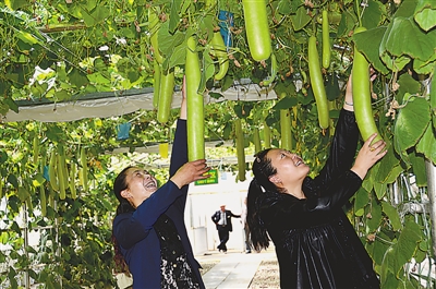 1465262385933676.jpg 1.jpg