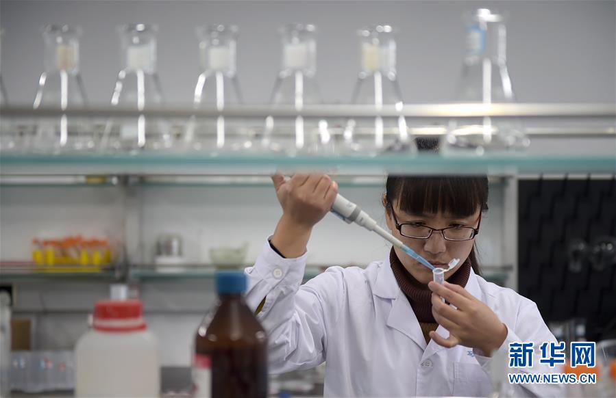 1457661463607687.jpg 128790872_14576519664741n.jpg