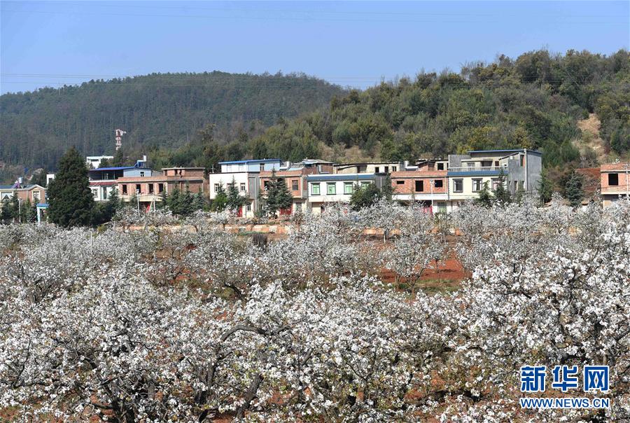 1458698573570036.jpg 3.jpg