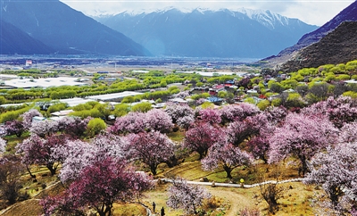 1458782962569464.jpg 1.jpg