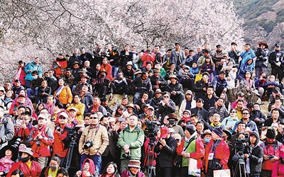 1458783015624948.jpg 1.jpg