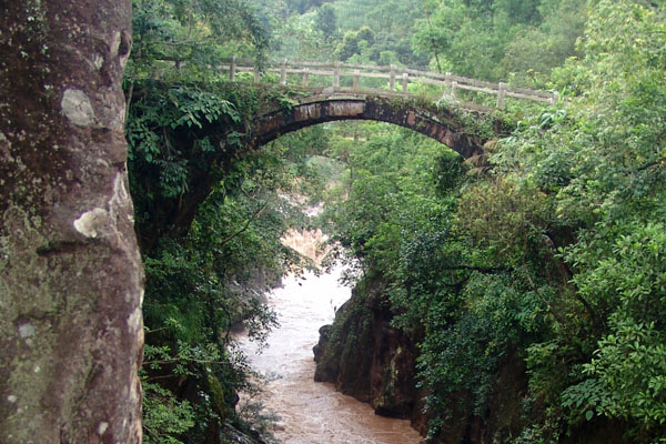 1459909405187375.jpg 1.jpg