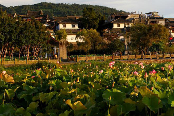 古鎮(zhèn)荷花開(kāi) 古鎮(zhèn)荷花開(kāi)