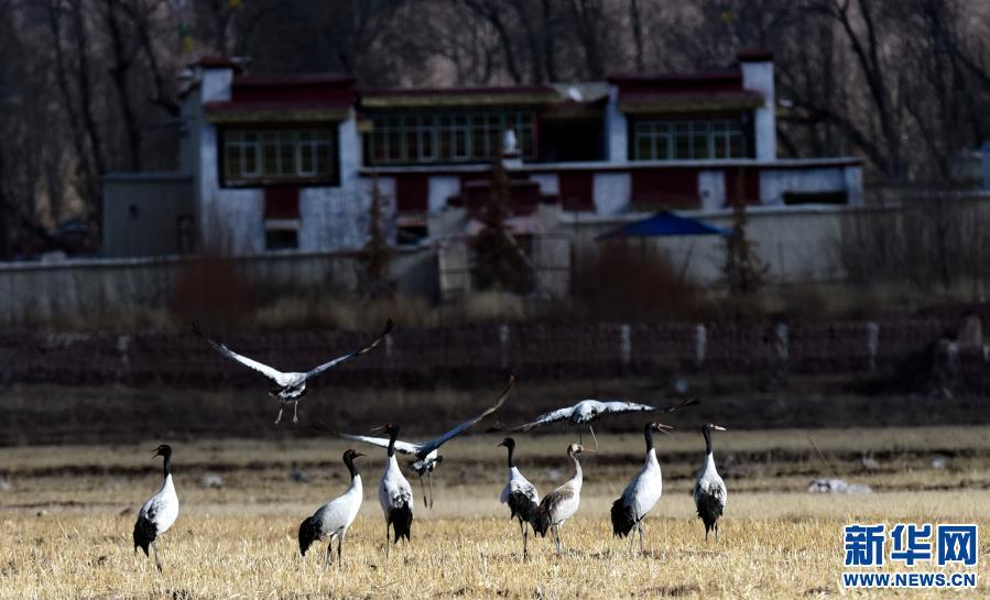 1608857765776256.jpg 139587681_16079111105311n.jpg