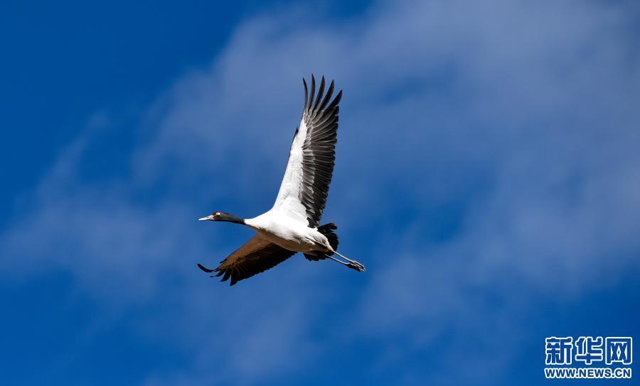 1608857774479230.jpg 139587681_16079111105631n.jpg