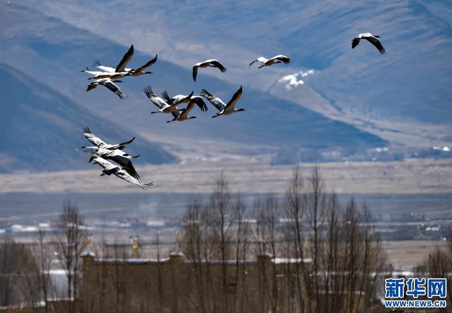 1608857779820331.jpg 139587681_16079111105871n.jpg