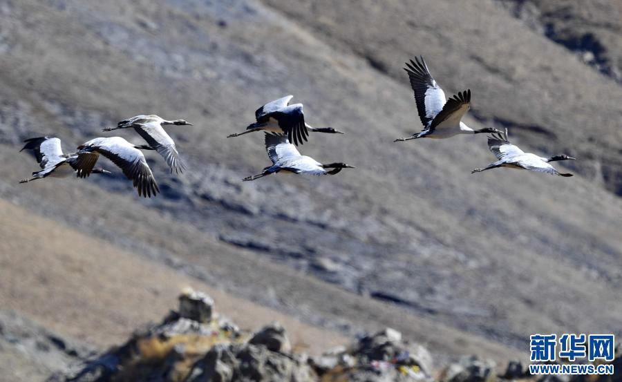 1608857790359113.jpg 139587681_16079111106871n.jpg