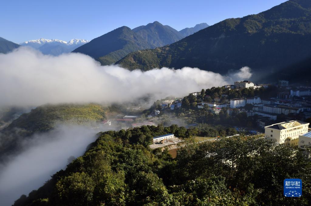 1640655867400061.jpg W020211227311979718031.jpg