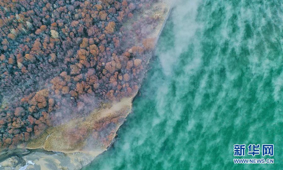 1641262766734672.jpg 8.jpg