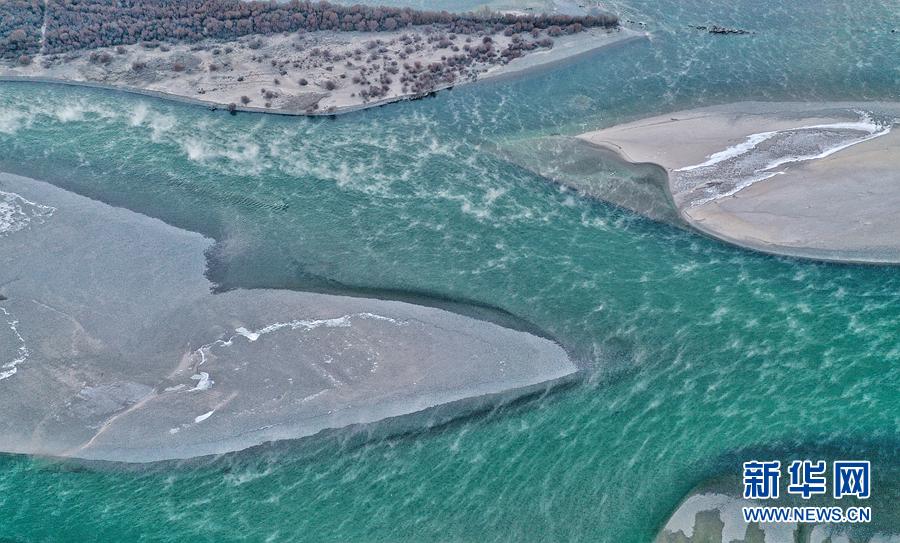 1641262772210470.jpg 9.jpg