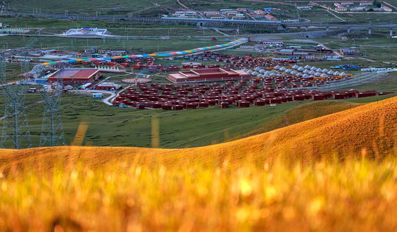 1642468388672565.jpg 8.jpg