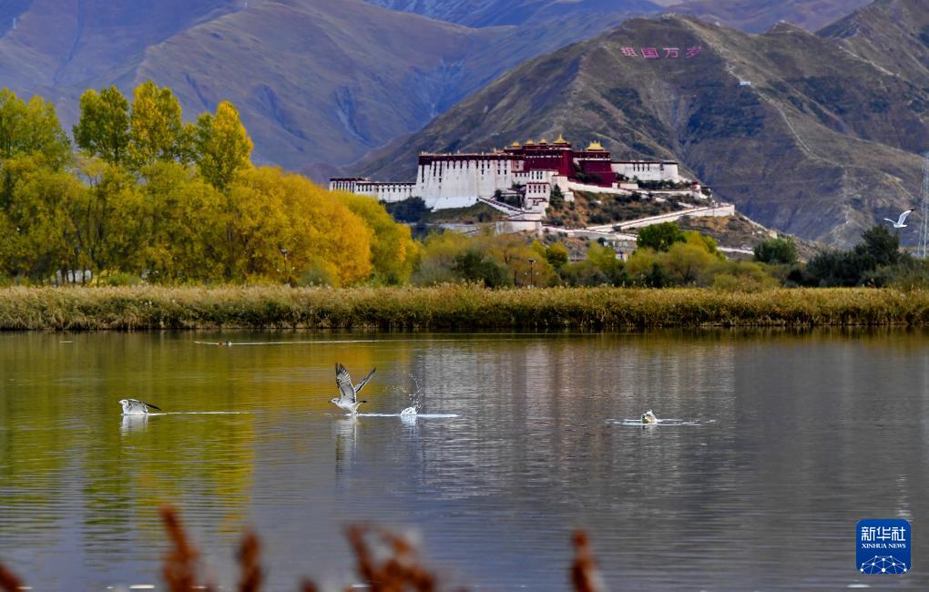 1697074075566375.jpg 2.jpg