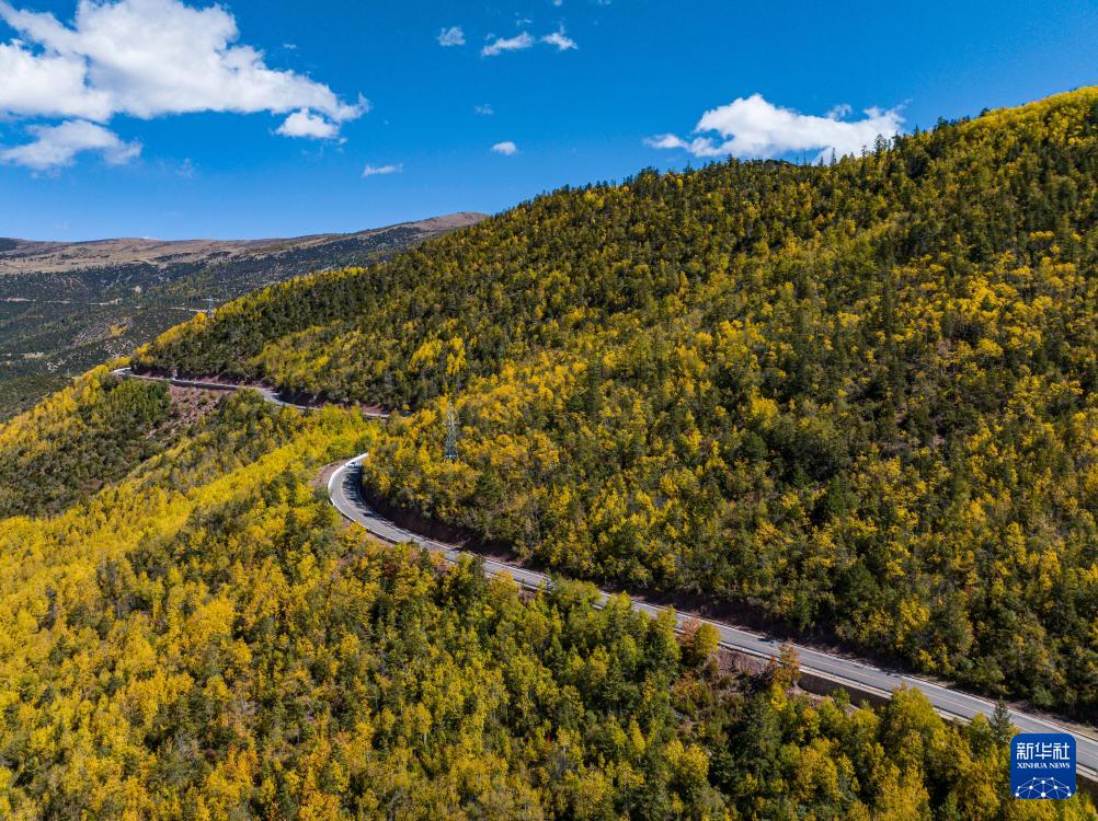 1698111225493006.jpg 2.jpg