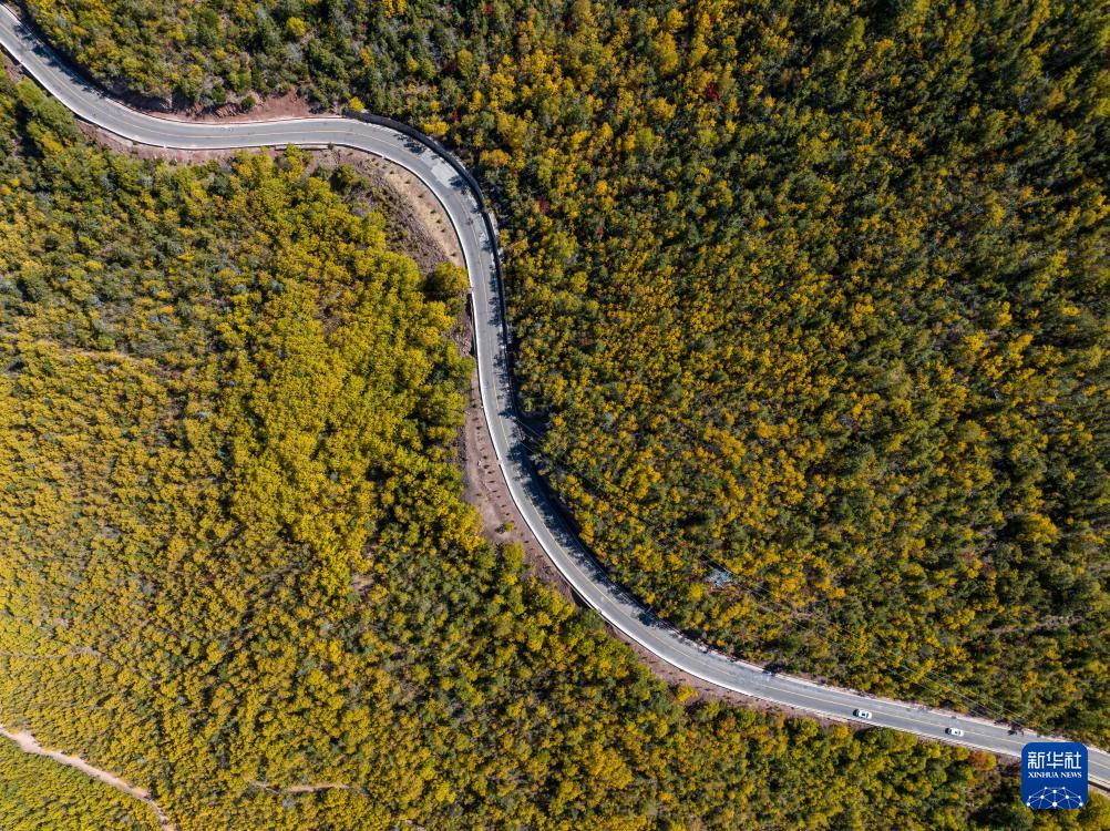 1698111258148717.jpg 6.jpg