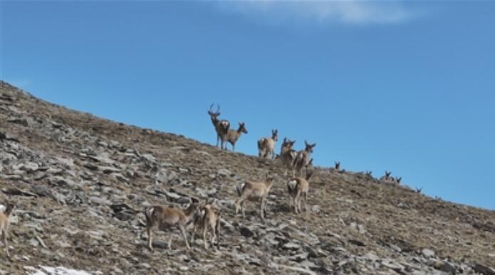 QQ截圖20240520073455