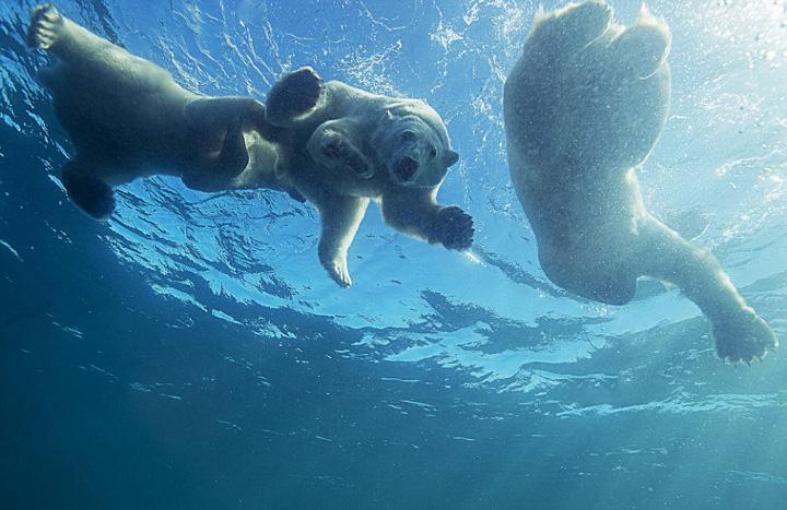 1454553043283823.jpg 2.jpg