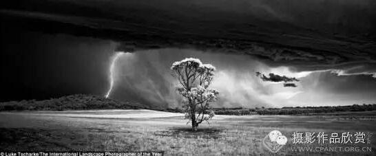 1454556484854787.jpg 1.jpg