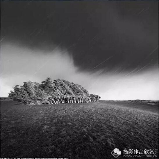 1454556535434212.jpg 3.jpg