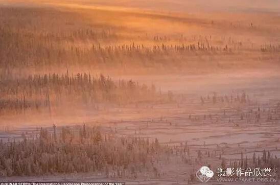 1454556588174093.jpg 5.jpg