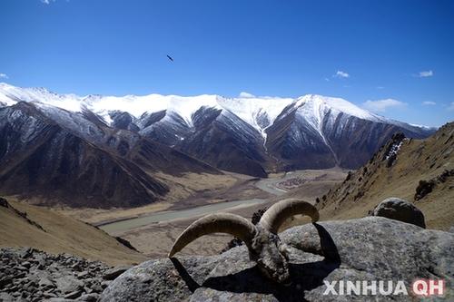 1454581573665419.jpg 1.jpg