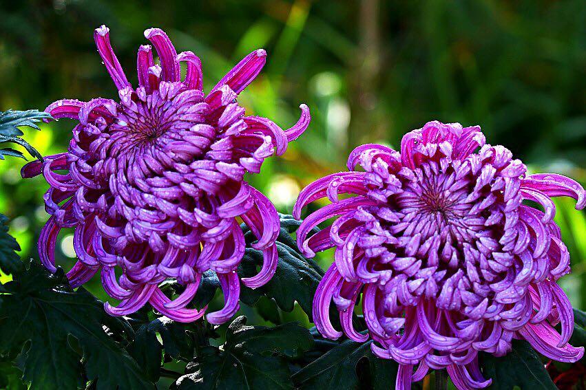 webwxgetmsgimg (13).jpg