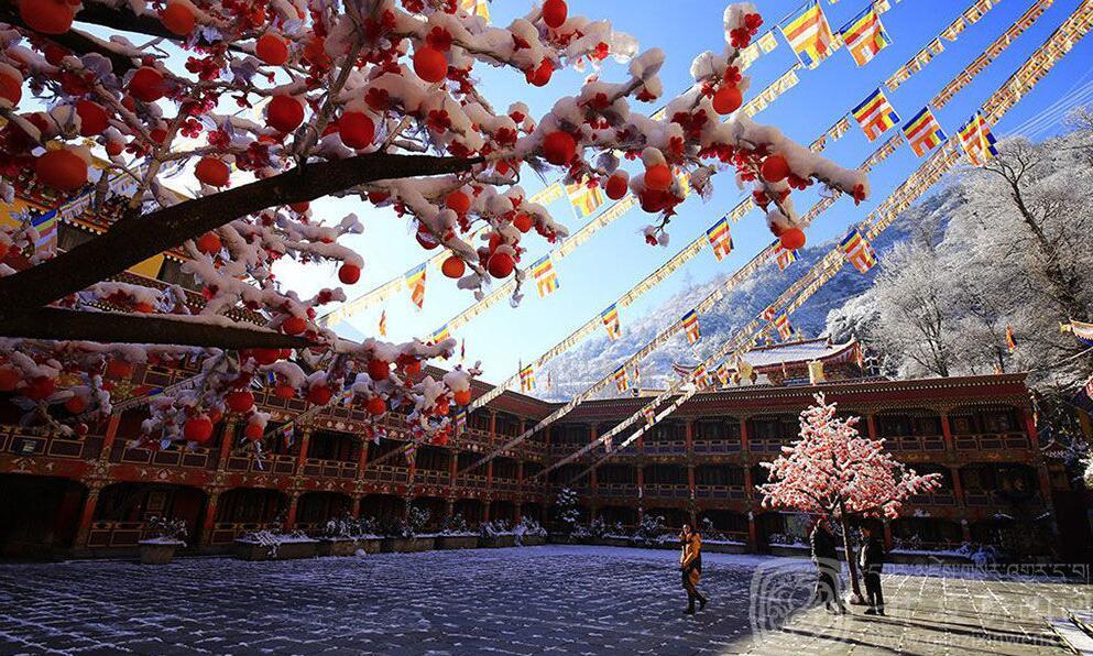 1485223599991422.jpg 1.jpg