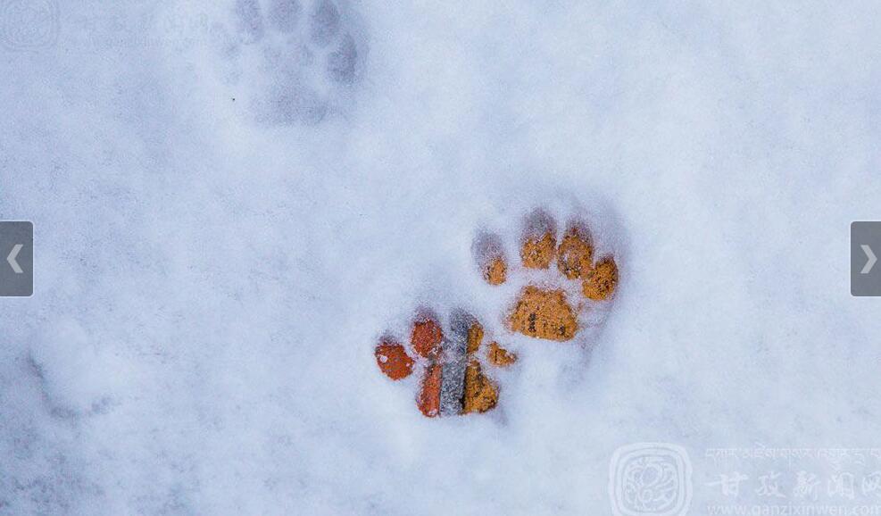 1485223721673115.jpg 1.jpg