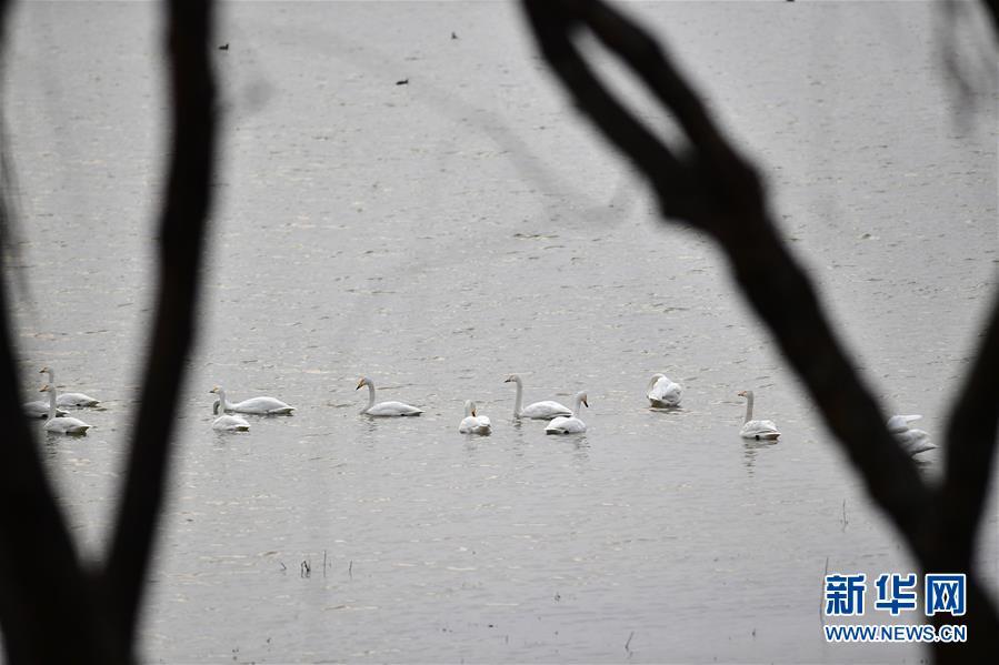 1486692038212682.jpg 1.jpg