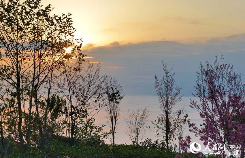 美麗昌寧掠影:冬季日出醉田園