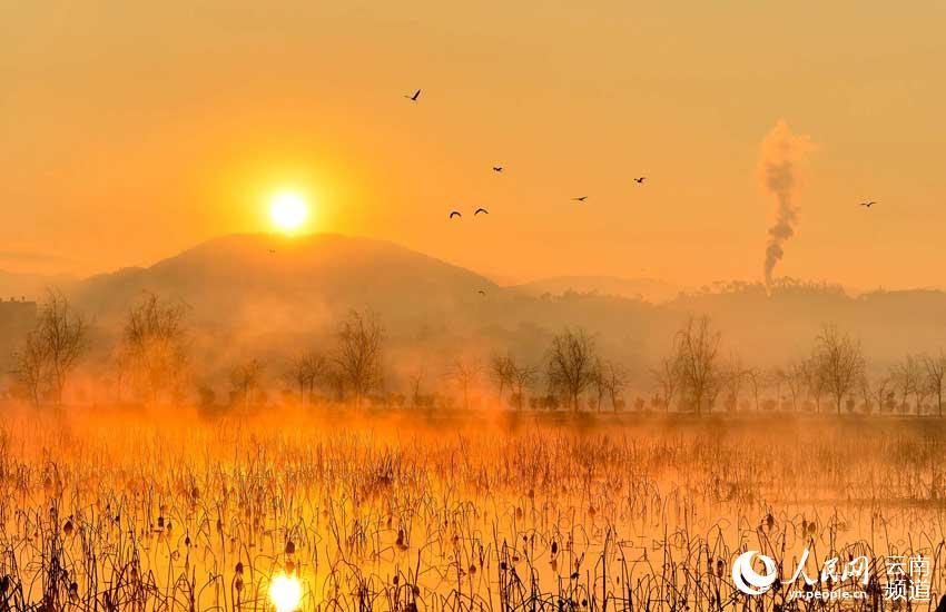 美麗昌寧掠影:冬季日出醉田園