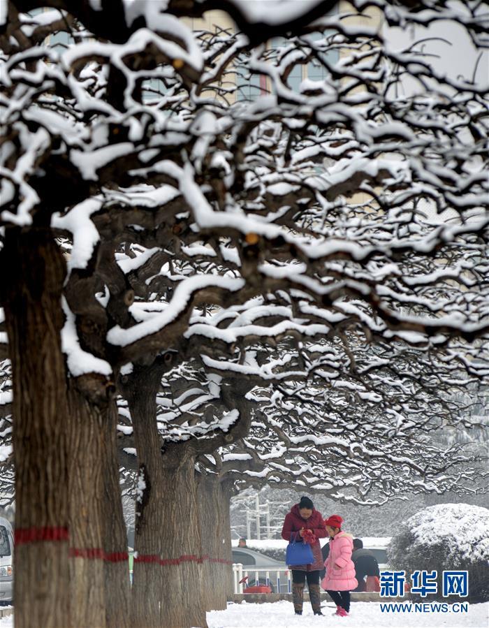 1487728978203583.jpg 1.jpg