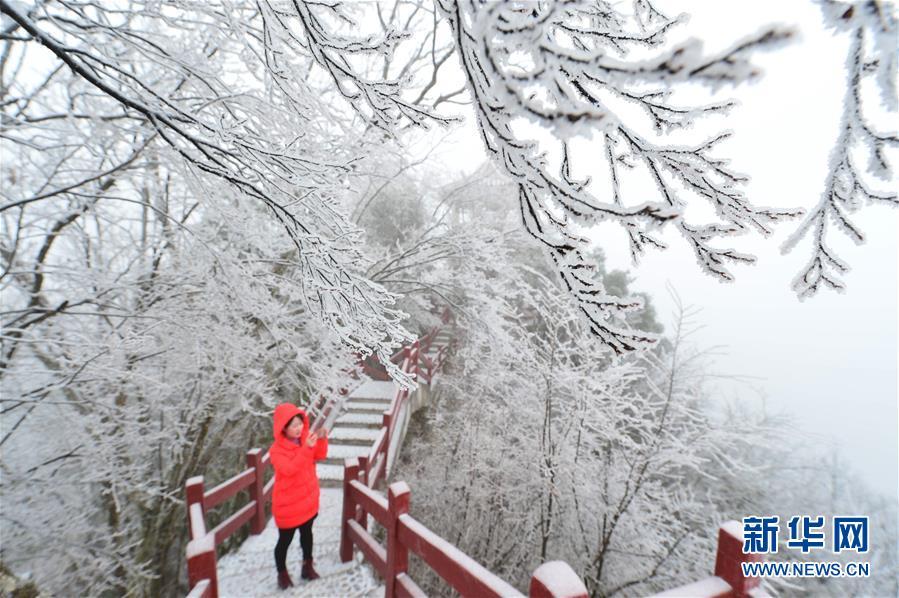 1487729003392376.jpg 1.jpg