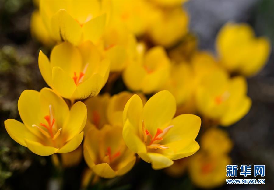 1488333694732149.jpg 1.jpg