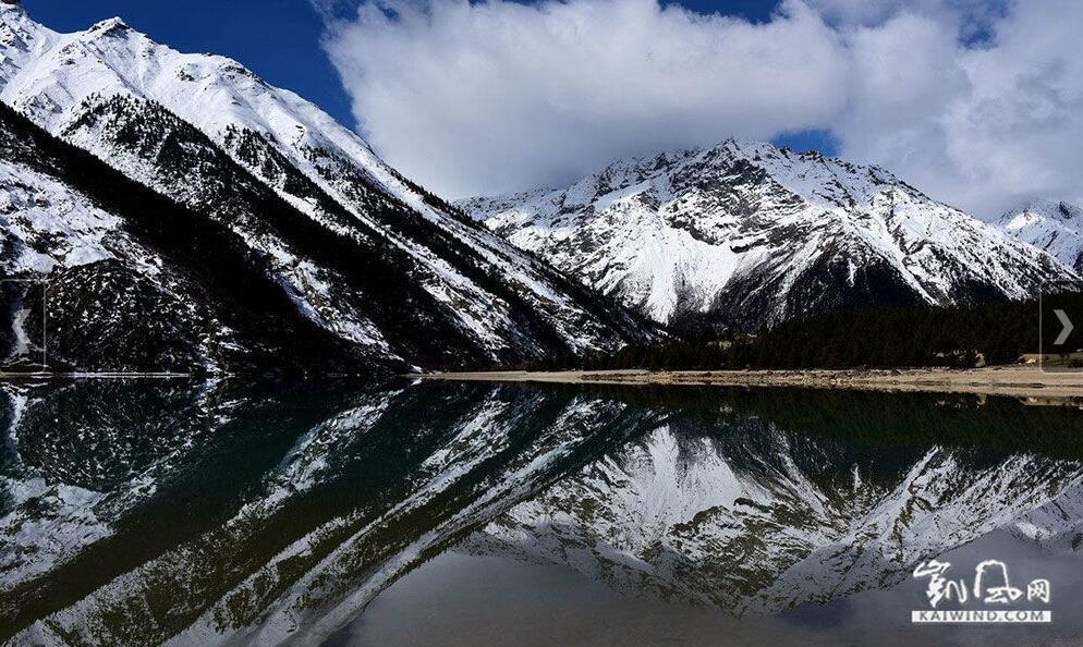 1491355991953952.jpg 4.jpg