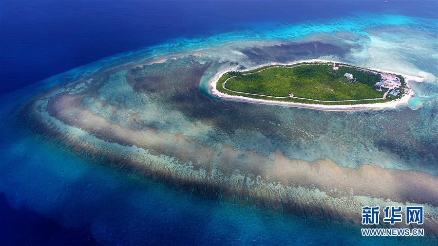 1493171930837127.jpg 1.jpg