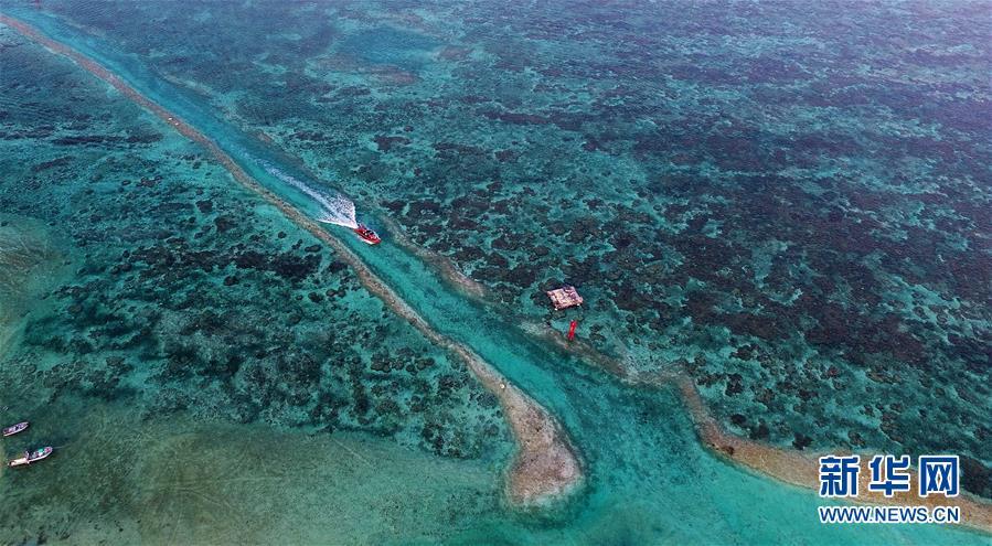 1493171958561433.jpg 1.jpg