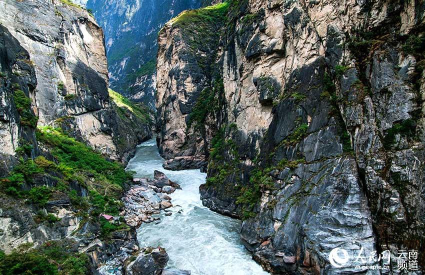 1496714293570554.jpg 1.jpg