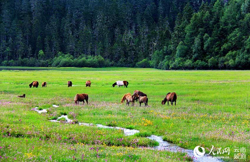 1496714370544861.jpg 1.jpg