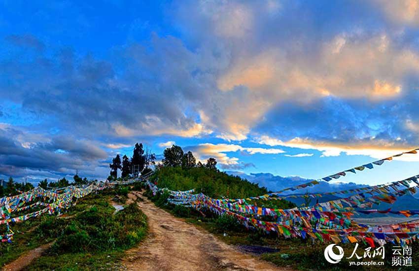 1496714460757918.jpg 1.jpg