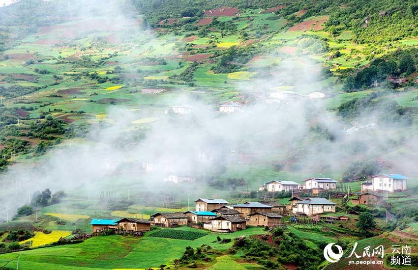 1496714495738899.jpg 1.jpg