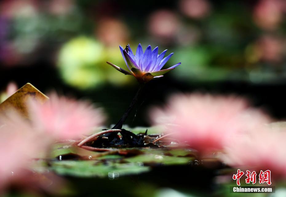 1497320937328040.jpg 1.jpg