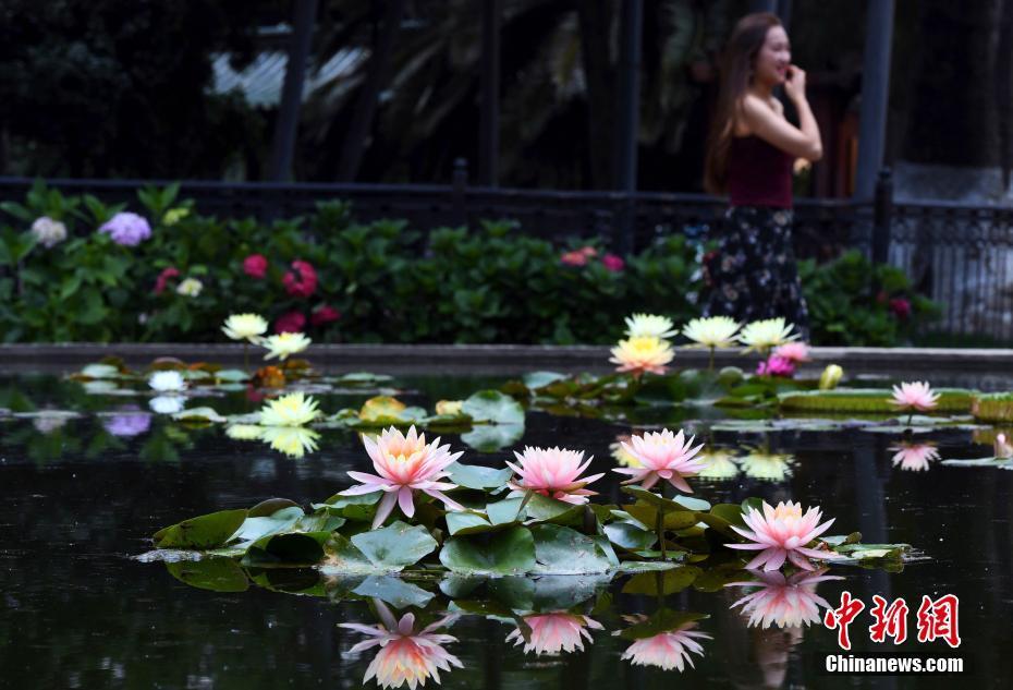 1497321033146710.jpg 1.jpg