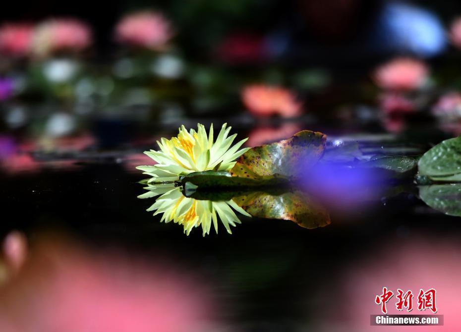 1497321072755260.jpg 1.jpg