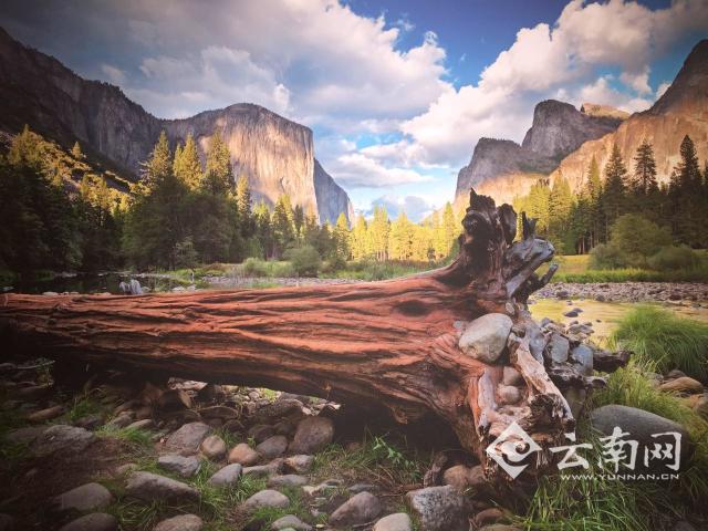 1497925049637497.jpg 1.jpg