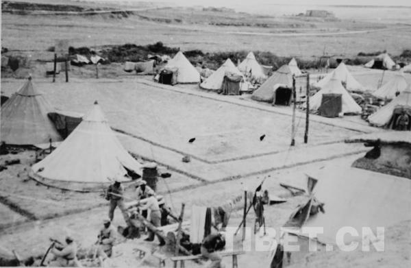 1516609790551371.jpg 3.jpg