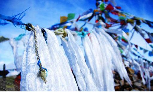 1474430131689314.jpg 5.jpg