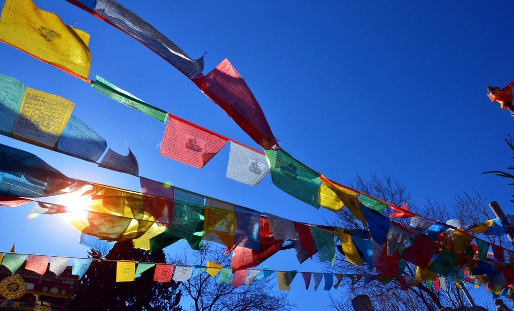 1476260870151617.jpg 43G58PICapz_1024.jpg