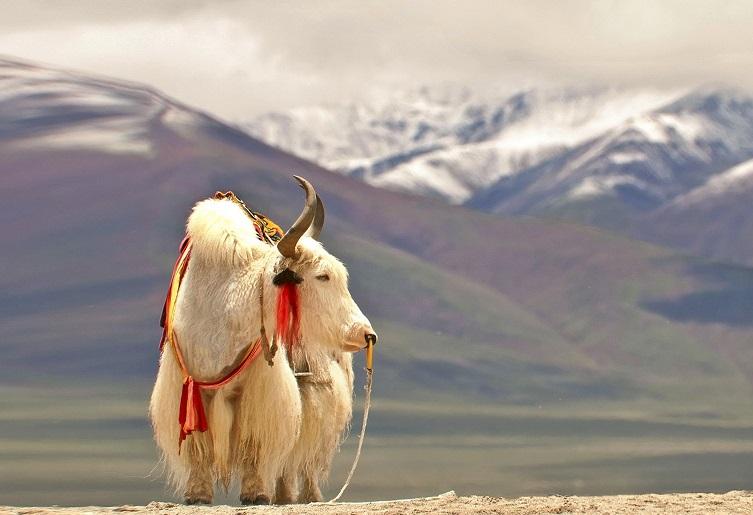 1476410622338306.jpg 76fe4208f6125334d1f240deccbdc454.jpg