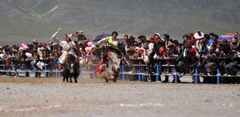 1477539365849967.jpg 4cddcfb143be9db58c1029db.jpg